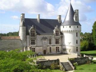 Bed and breakfast Château de Crazannes Extérieur photo